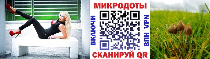 Галлюциногенные грибы прущие грибы  Далматово 